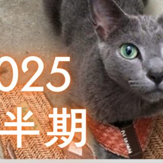 2025年上半期に買ってよかったもの買ってよくなかったもの