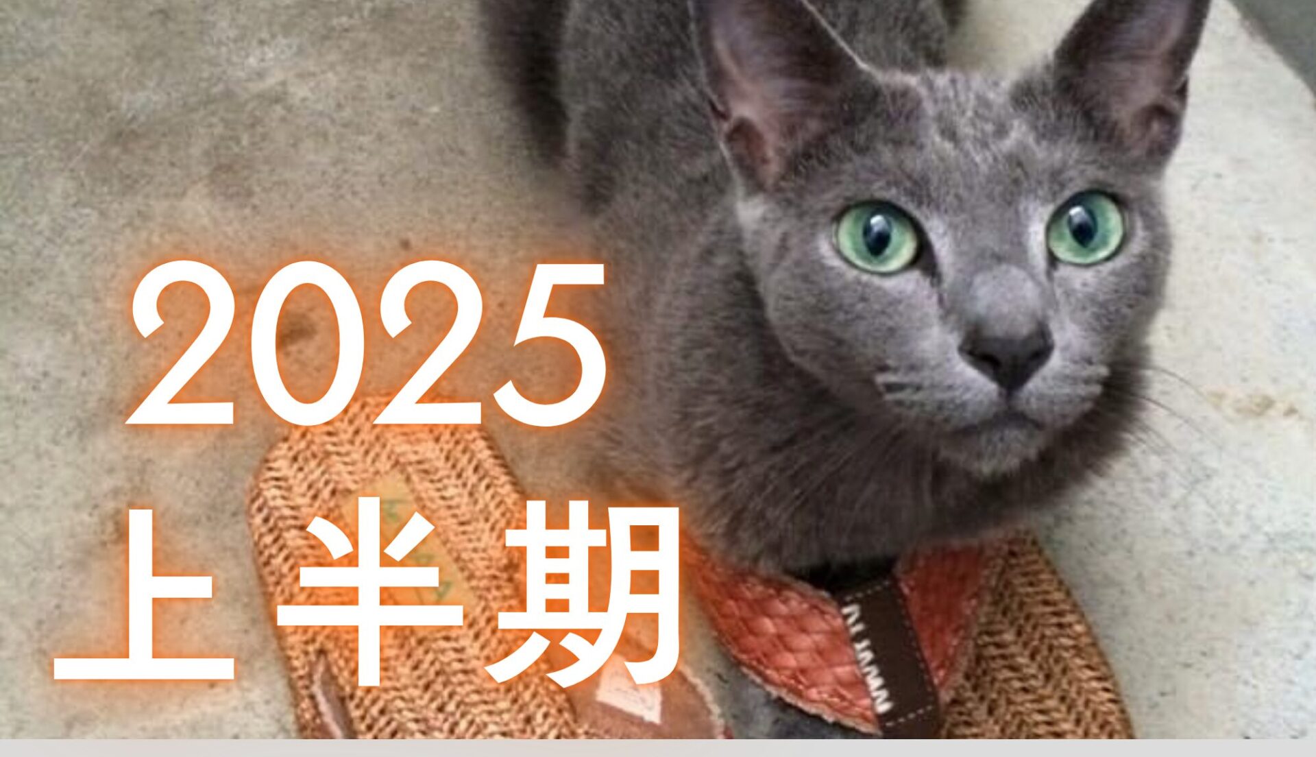 2025年上半期に買ってよかったもの買ってよくなかったもの