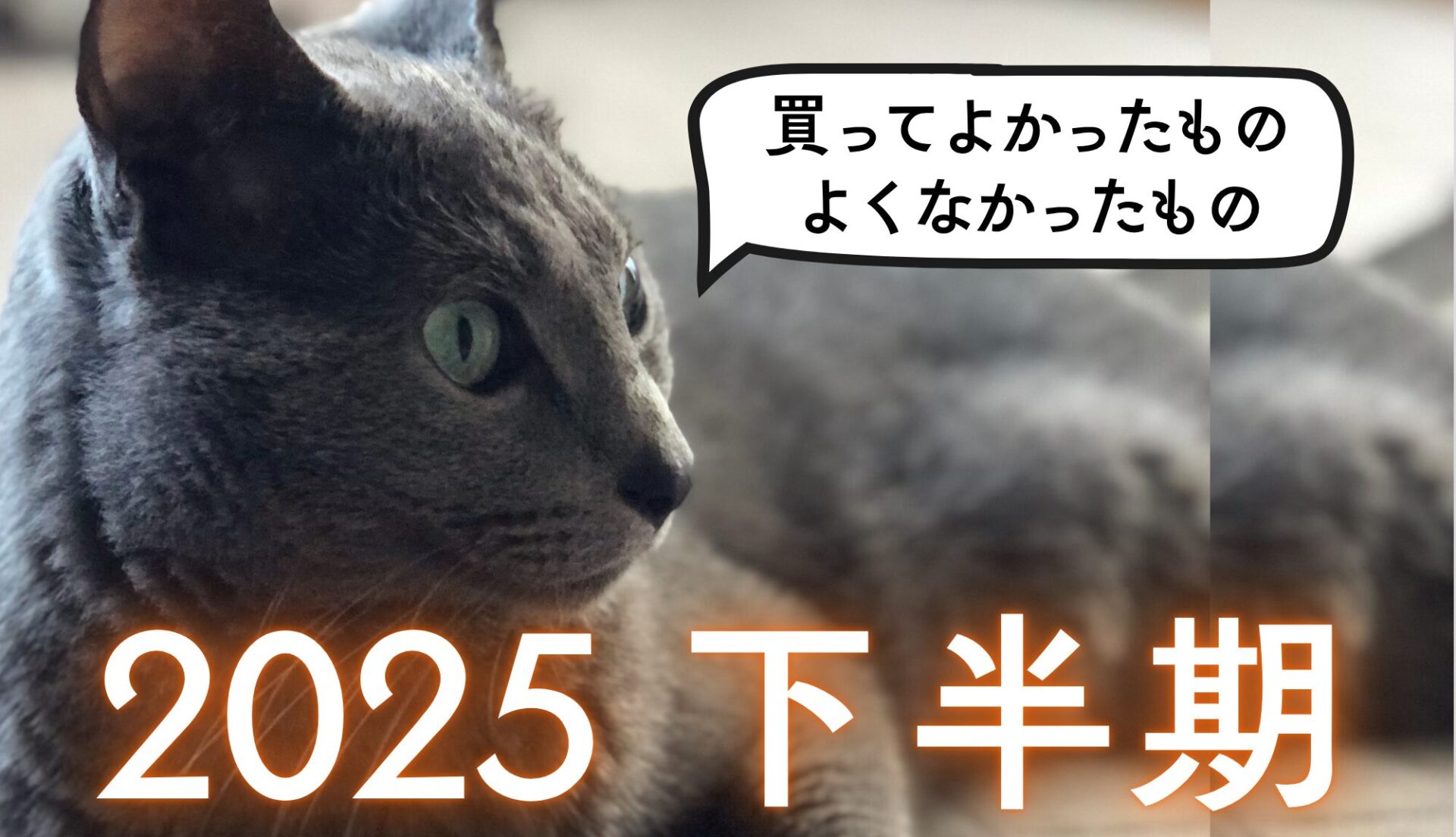 2025年下半期に買ってよかったもの買ってよくなかったもの
